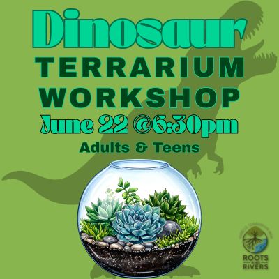 Dinosaur Terrarium Workshop