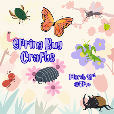 Spring Bug Crafts