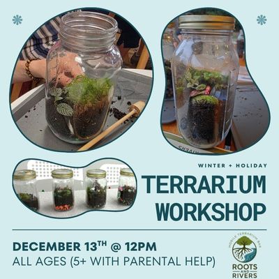 Terrarium Workshop with Roots and Rivers