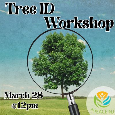 Tree ID Workshop